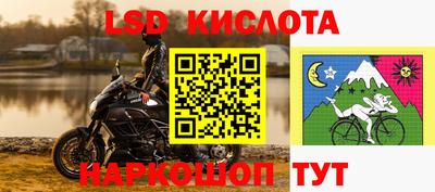 винт Можга